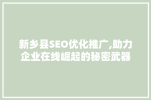 新乡县SEO优化推广,助力企业在线崛起的秘密武器