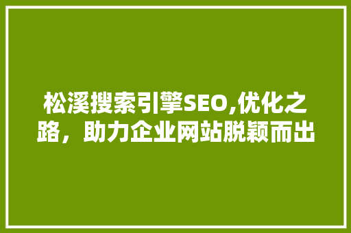 松溪搜索引擎SEO,优化之路，助力企业网站脱颖而出