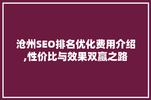 沧州SEO排名优化费用介绍,性价比与效果双赢之路