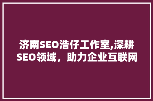 济南SEO浩仔工作室,深耕SEO领域，助力企业互联网营销新篇章  第1张