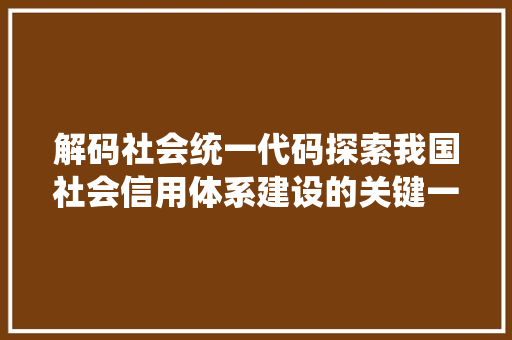 解码社会统一代码探索我国社会信用体系建设的关键一环