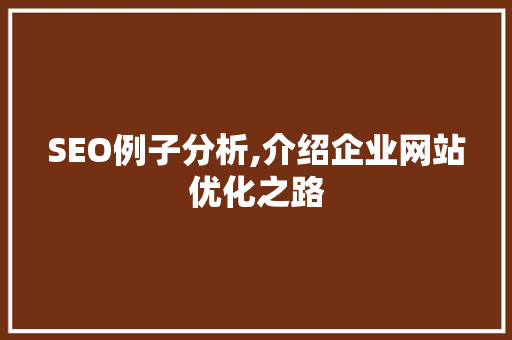 SEO例子分析,介绍企业网站优化之路  第1张