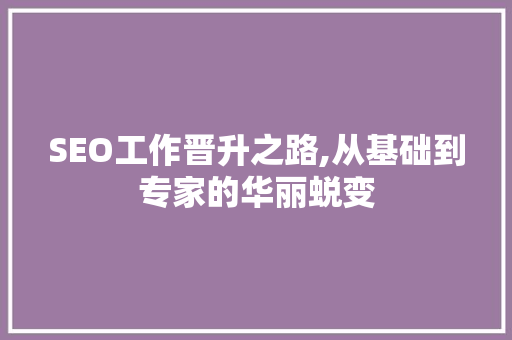 SEO工作晋升之路,从基础到专家的华丽蜕变