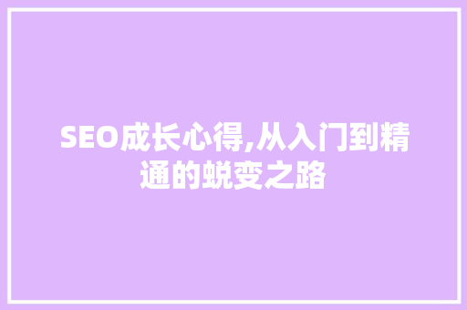 SEO成长心得,从入门到精通的蜕变之路