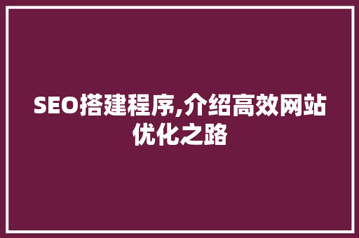 SEO搭建程序,介绍高效网站优化之路