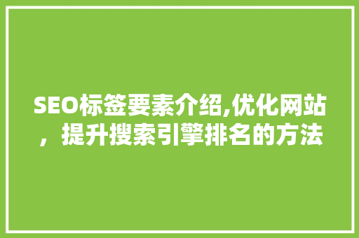 SEO标签要素介绍,优化网站，提升搜索引擎排名的方法