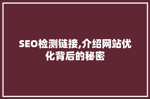 SEO检测链接,介绍网站优化背后的秘密