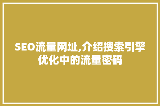 SEO流量网址,介绍搜索引擎优化中的流量密码