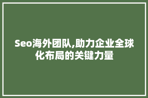 Seo海外团队,助力企业全球化布局的关键力量