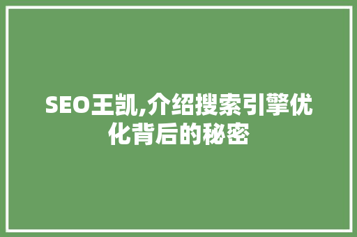 SEO王凯,介绍搜索引擎优化背后的秘密