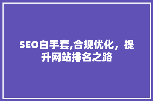 SEO白手套,合规优化，提升网站排名之路