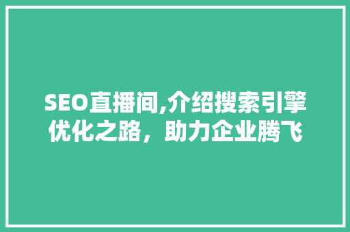SEO直播间,介绍搜索引擎优化之路，助力企业腾飞