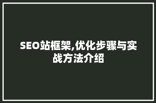 SEO站框架,优化步骤与实战方法介绍