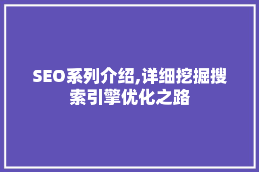 SEO系列介绍,详细挖掘搜索引擎优化之路