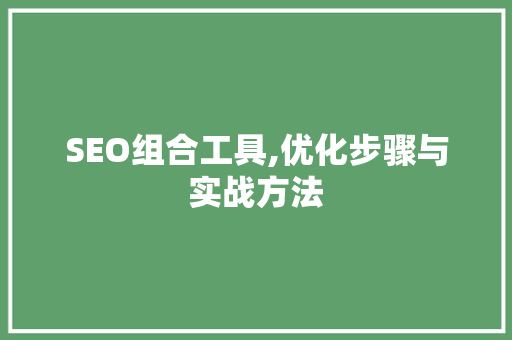SEO组合工具,优化步骤与实战方法