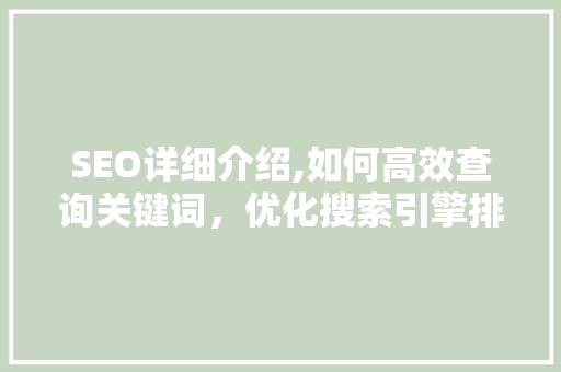 SEO详细介绍,如何高效查询关键词，优化搜索引擎排名