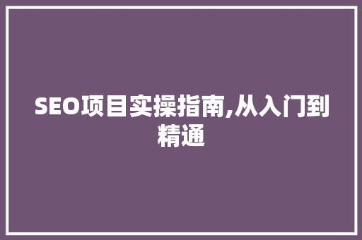SEO项目实操指南,从入门到精通