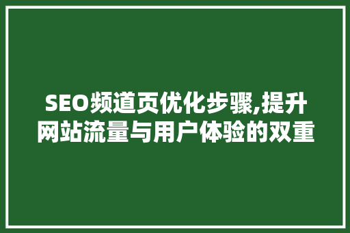 SEO频道页优化步骤,提升网站流量与用户体验的双重保障