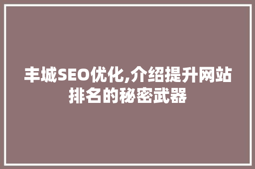 丰城SEO优化,介绍提升网站排名的秘密武器