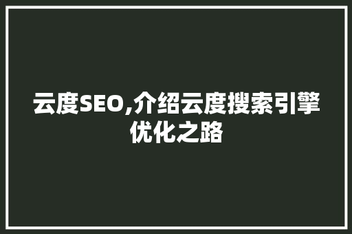 云度SEO,介绍云度搜索引擎优化之路