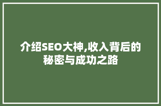 介绍SEO大神,收入背后的秘密与成功之路