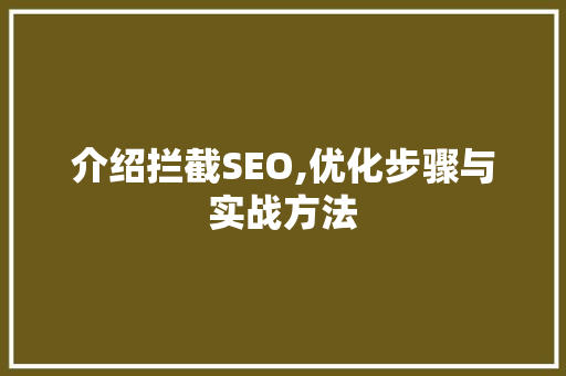 介绍拦截SEO,优化步骤与实战方法