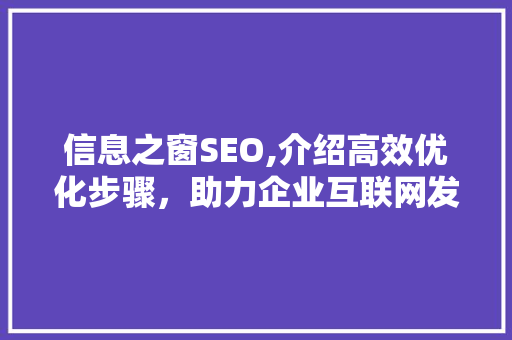 信息之窗SEO,介绍高效优化步骤，助力企业互联网发展
