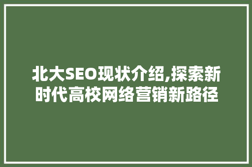 北大SEO现状介绍,探索新时代高校网络营销新路径