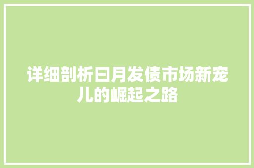 详细剖析曰月发债市场新宠儿的崛起之路
