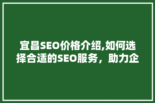 宜昌SEO价格介绍,如何选择合适的SEO服务，助力企业互联网营销