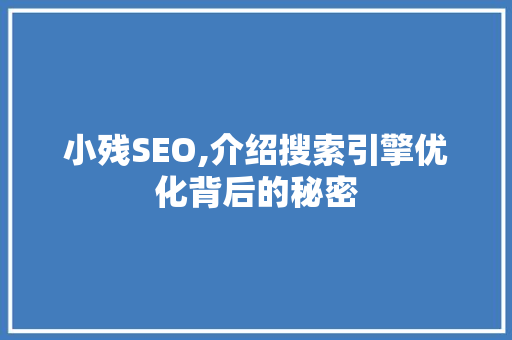 小残SEO,介绍搜索引擎优化背后的秘密
