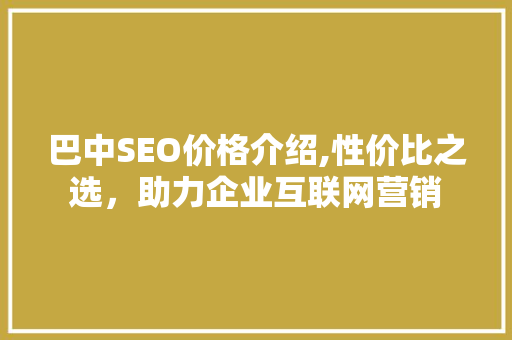 巴中SEO价格介绍,性价比之选，助力企业互联网营销