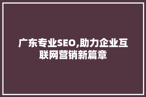 广东专业SEO,助力企业互联网营销新篇章