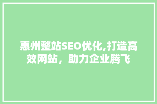 惠州整站SEO优化,打造高效网站，助力企业腾飞