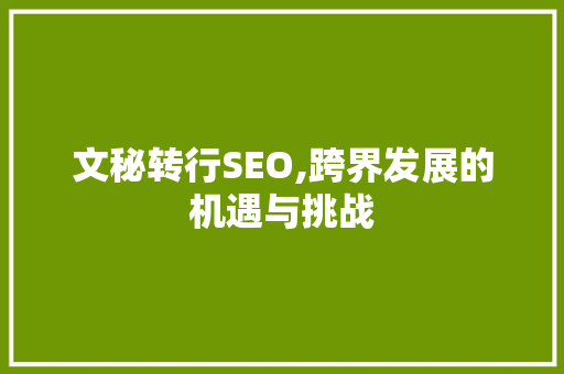文秘转行SEO,跨界发展的机遇与挑战