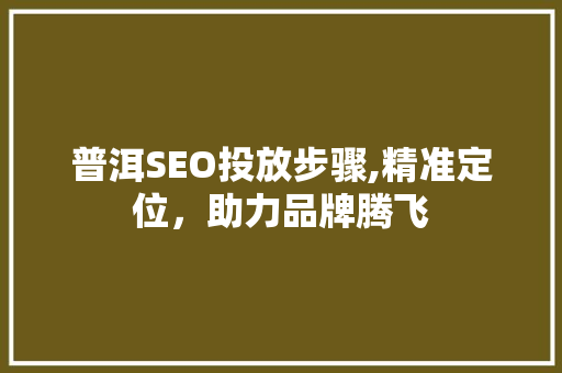 普洱SEO投放步骤,精准定位，助力品牌腾飞