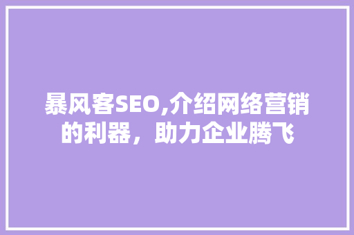 暴风客SEO,介绍网络营销的利器，助力企业腾飞