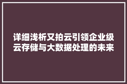 详细浅析又拍云引领企业级云存储与大数据处理的未来趋势