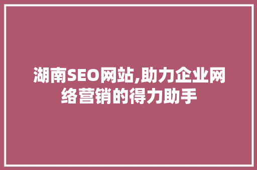 湖南SEO网站,助力企业网络营销的得力助手