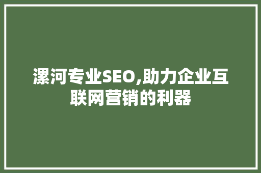 漯河专业SEO,助力企业互联网营销的利器