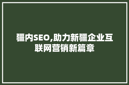 疆内SEO,助力新疆企业互联网营销新篇章