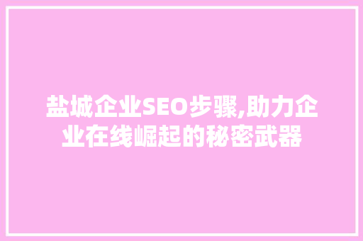 盐城企业SEO步骤,助力企业在线崛起的秘密武器