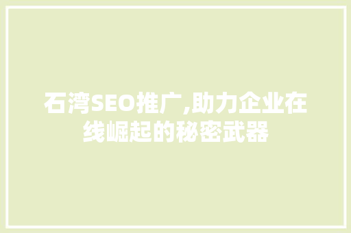 石湾SEO推广,助力企业在线崛起的秘密武器