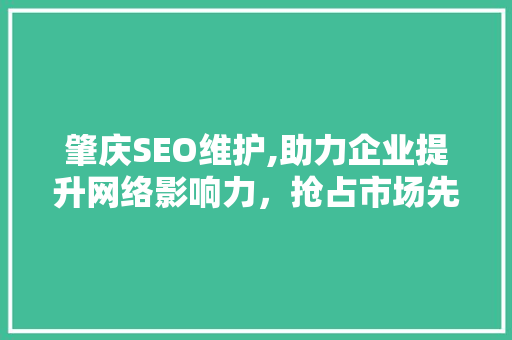 肇庆SEO维护,助力企业提升网络影响力，抢占市场先机