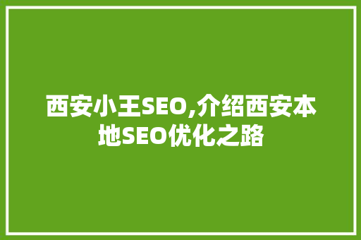 西安小王SEO,介绍西安本地SEO优化之路