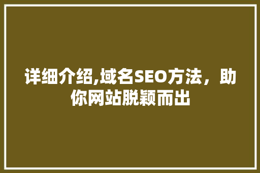 详细介绍,域名SEO方法，助你网站脱颖而出