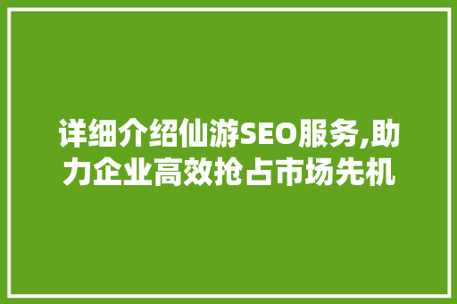 详细介绍仙游SEO服务,助力企业高效抢占市场先机