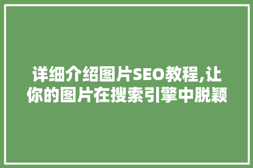 详细介绍图片SEO教程,让你的图片在搜索引擎中脱颖而出