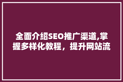 全面介绍SEO推广渠道,掌握多样化教程，提升网站流量与排名