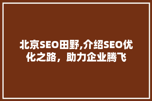 北京SEO田野,介绍SEO优化之路，助力企业腾飞